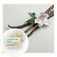 Thumbnail for Vanilla bean wax melts with vanilla beans and a flower on a light gray background