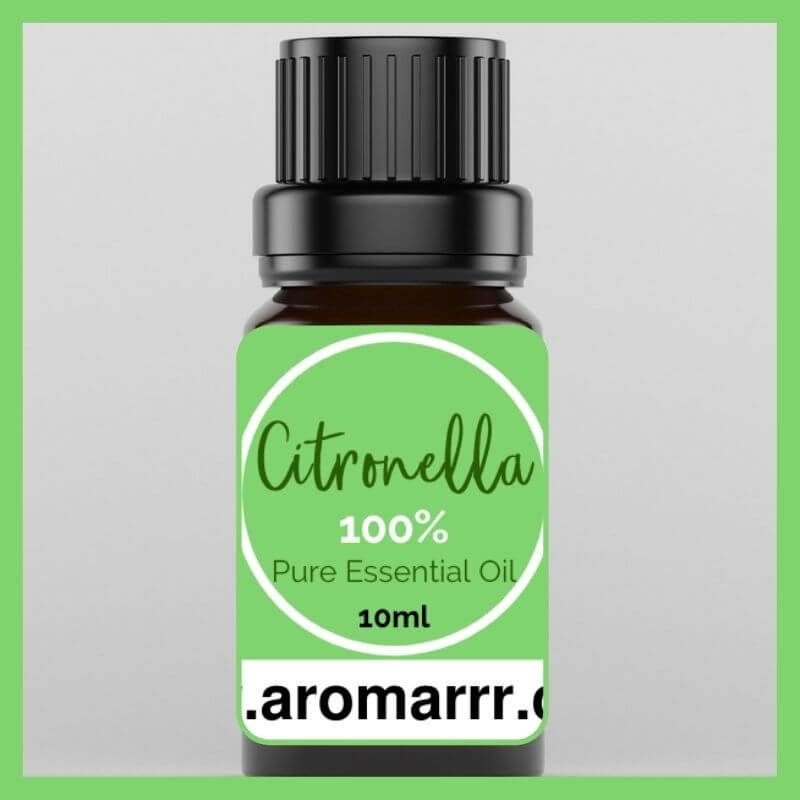 10ml bottle of citronella essential oil