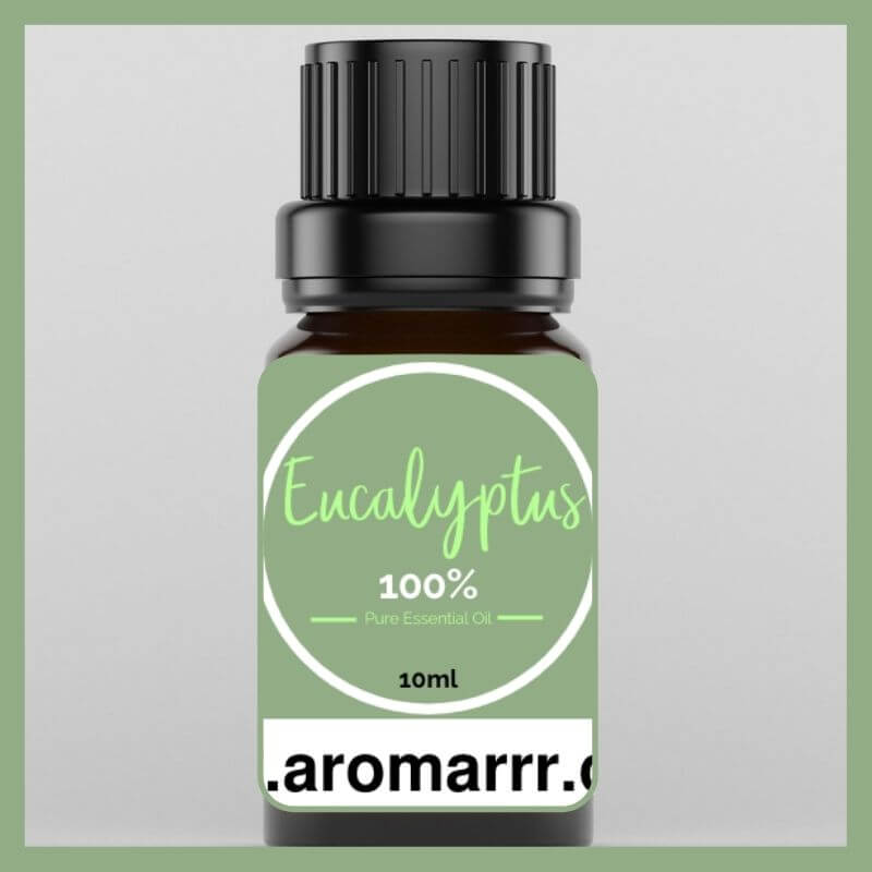 Eucalyptus Essential Oil in NZ - 10ml Bottle